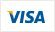 Visa Logo