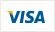 Visa Logo