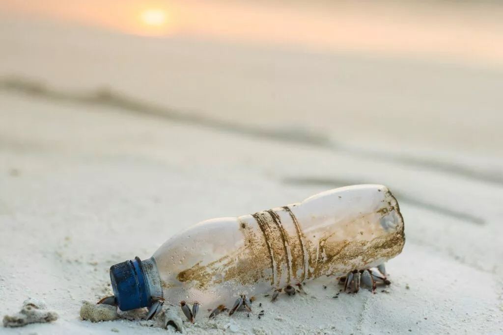 Mikroplastik im Meer - ein Bild, das eine Plastikflasche am Strand zeigt