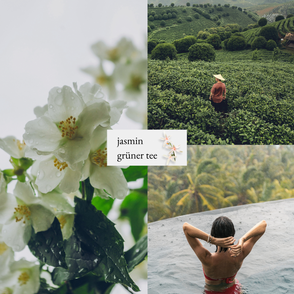Bildcollage zur Visualisierung der Duftrichtung Jasmin Grüner Tee. Abbildung einer Jasminblüte, eines Mannes der in einer Teeplantage steht und einer Frau die sich in einem Pool befindet und über eine tropische Landschaft blickt