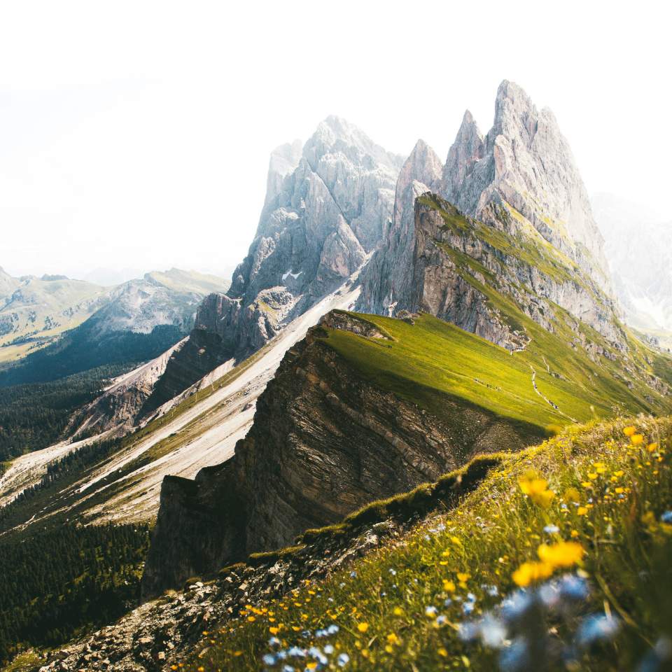 CO2 Bilanz als nur ein winziger Bereich des Vereins "gemeinsam umweltneutral handeln"