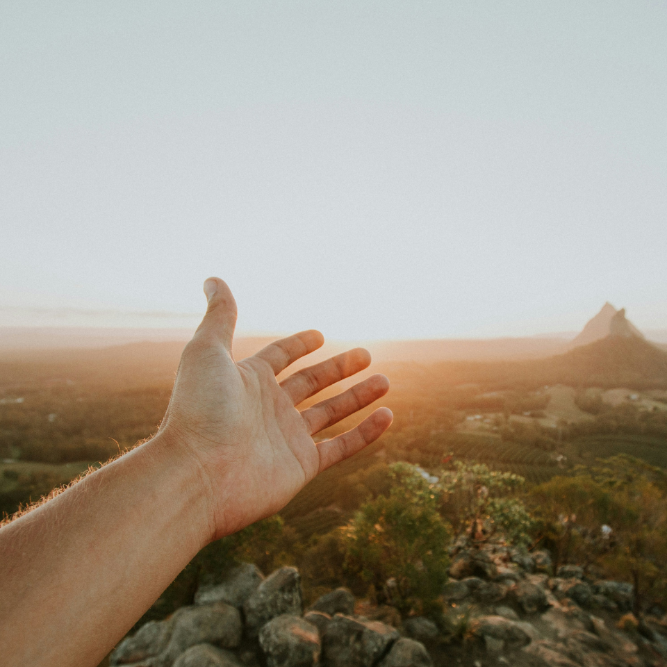 Bild einer Hand in der Natur