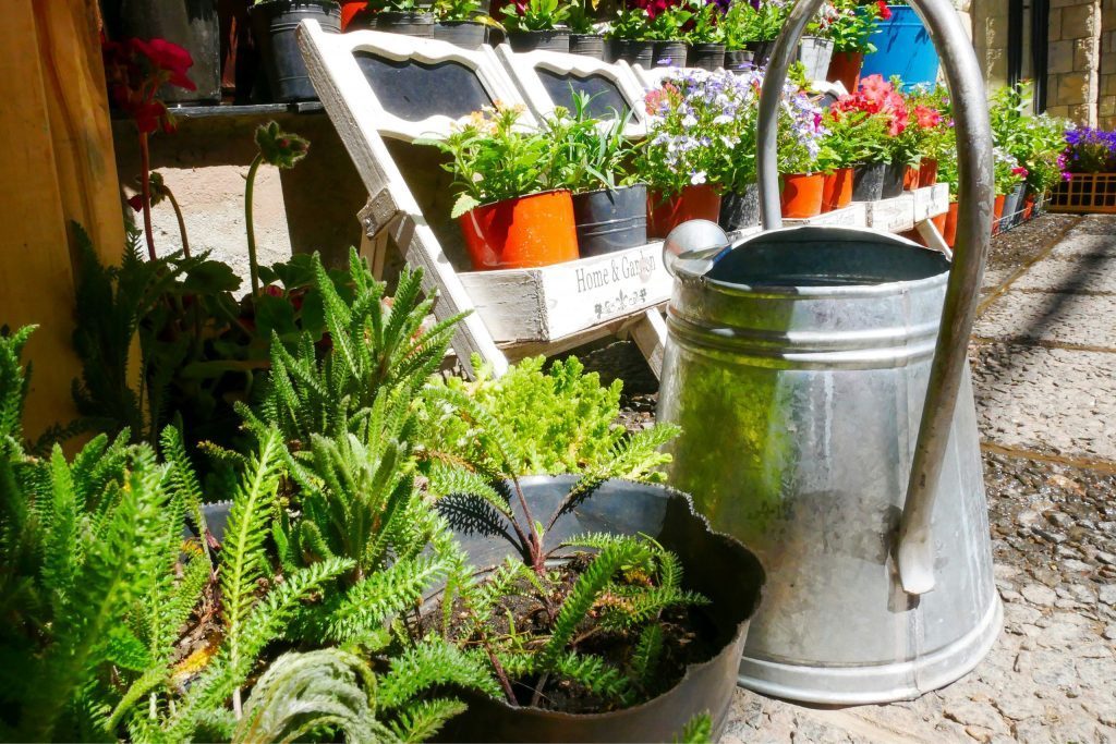 Bild eines Stadtgartens mit Pflanzen und einer Gießkanne